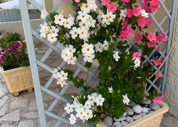 Apartment Pansion Margarita Agios Nikitas